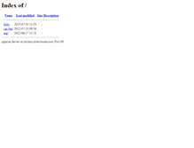 Tablet Screenshot of durban.directrouter.com